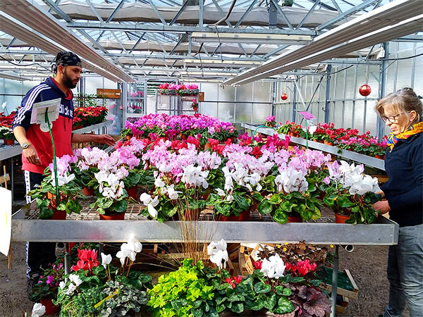 Jeune et conseillère avec des fleurs