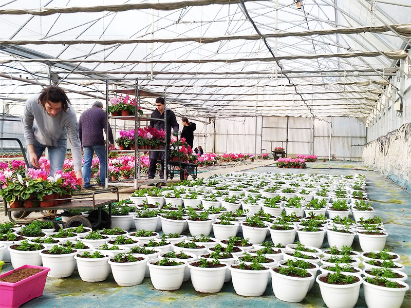Jeunes avec des fleurs